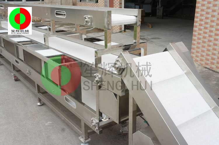 凈菜加工生產線