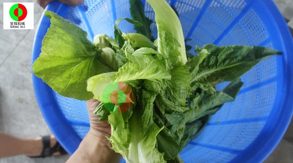 進口高壓清洗機