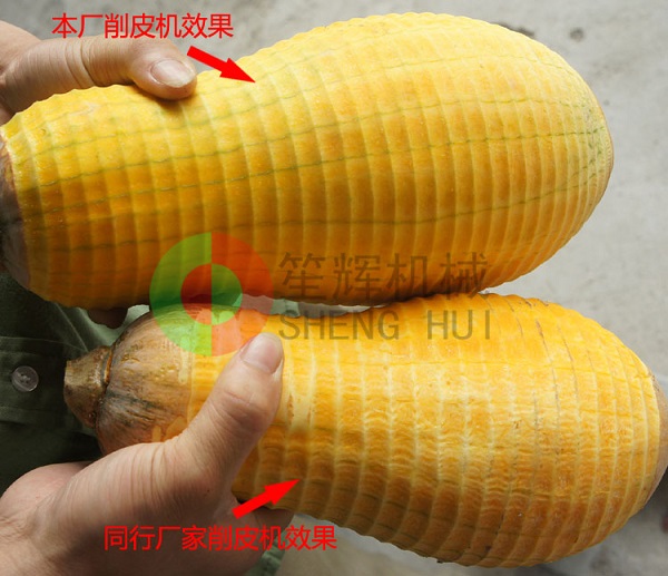 自動瓜果削皮機