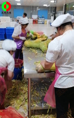 工程售后團(tuán)隊(duì)現(xiàn)場(chǎng)考察江西客戶生產(chǎn)現(xiàn)場(chǎng),提供整套瓜果加工設(shè)備方案！