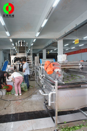 客戶自帶大批物料到我司測試蔬果處理設備后簽訂定購合同!