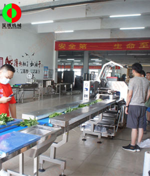 枕式蔬果包裝生產線,客戶現場測試驗收!