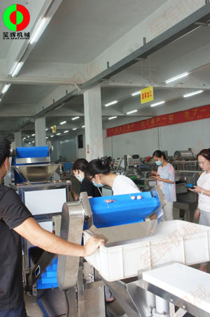 惠州客戶王小姐親臨我司測試洋蔥脫皮及切碎設備！