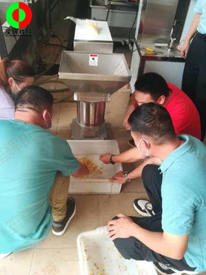 江門客戶謝先生親臨我司測試生姜清洗脫皮及打碎設備!