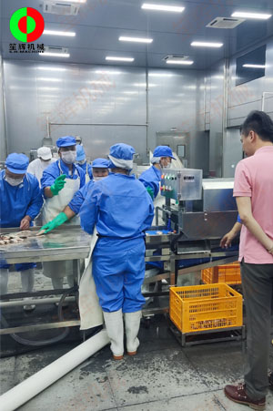 廣東中山某大型水產(chǎn)加工設(shè)備落成現(xiàn)場!