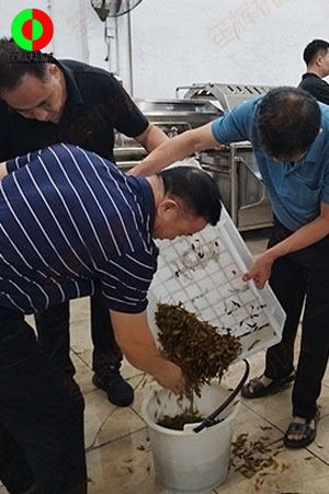 客戶來廠測試驗貨果蔬清洗加工設備!