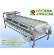 FJ-3000圣女果分級機(視頻) FJ-3000圣女果分級機(視頻)