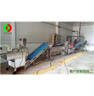 辣椒切割清洗生產(chǎn)線(視頻) 辣椒切割清洗生產(chǎn)線(視頻)