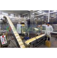 大型水果加工生產(chǎn)線/黃桃加工生產(chǎn)線 大型水果加工生產(chǎn)線/黃桃加工生產(chǎn)線