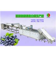 藍莓/蔬果全自動清洗分級生產線 藍莓/蔬果全自動清洗分級生產線