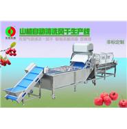 山楂清洗生產線/山楂清洗風干生產線 山楂清洗生產線/山楂清洗風干生產線