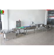 打蛋生產線/清洗、風干、光檢、24頭打蛋生產線(視頻) 打蛋生產線/清洗、風干、光檢、24頭打蛋生產線(視頻)