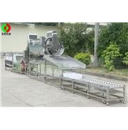 鯪魚加工生產線/豆豉鯪魚生產線/魚類加工生產線 鯪魚加工生產線/豆豉鯪魚生產線/魚類加工生產線