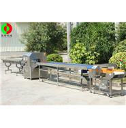 蔬菜包裝生產線/蔬果枕式包裝金屬檢測生產線(視頻) 蔬菜包裝生產線/蔬果枕式包裝金屬檢測生產線(視頻)