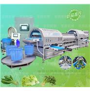 智能渦流清洗脫水線/渦流洗菜機(jī)/蔬菜清洗脫水機(jī) (視頻) 智能渦流清洗脫水線/渦流洗菜機(jī)/蔬菜清洗脫水機(jī) (視頻)